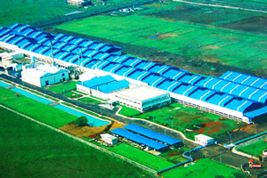 Bridgestone plant in India